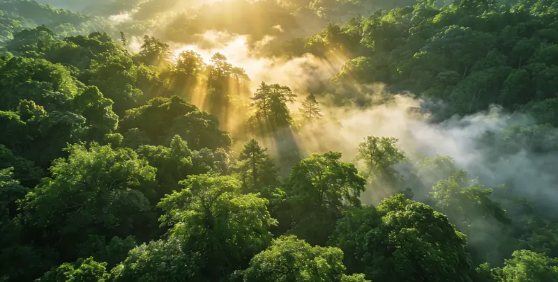 遵义肺癌（EGFR T790M)突变检测图片1